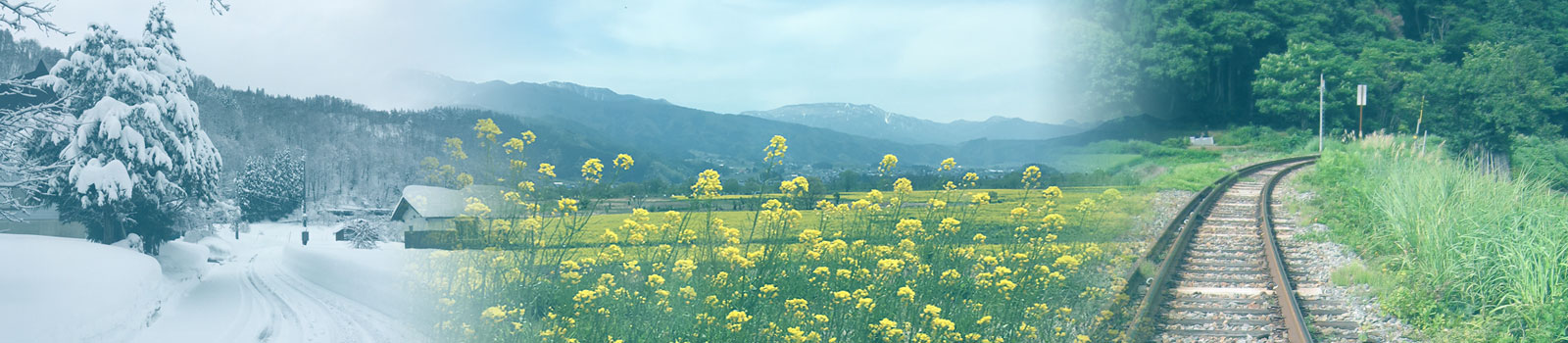 飯山市　雪、菜の花、飯山線線路